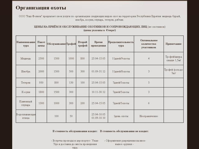 Разработка сайта/ООО "Раш фолкэн"