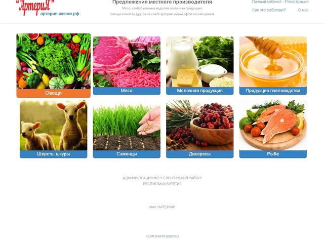 Разработан региональный информационный портал "Артерия жизни"