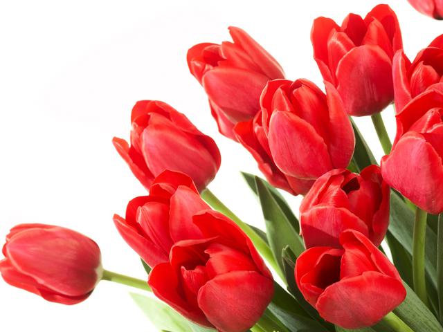 С 8 марта! Доброго весеннего дня!