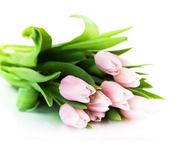 С 8 марта! Доброго весеннего дня!