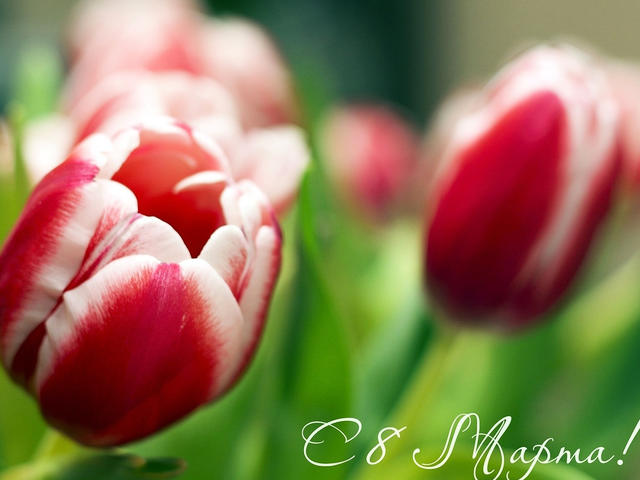 с Праздником 8 марта!