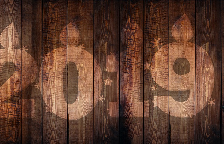 С наступающим Новым 2019 годом!