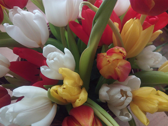 С днем 8 марта!