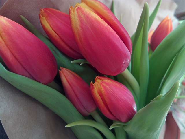 С днём 8 марта!