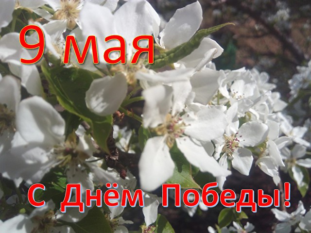 С Праздником Победы!