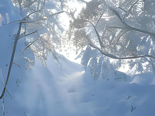 С Наступающим Новым годом 2022!