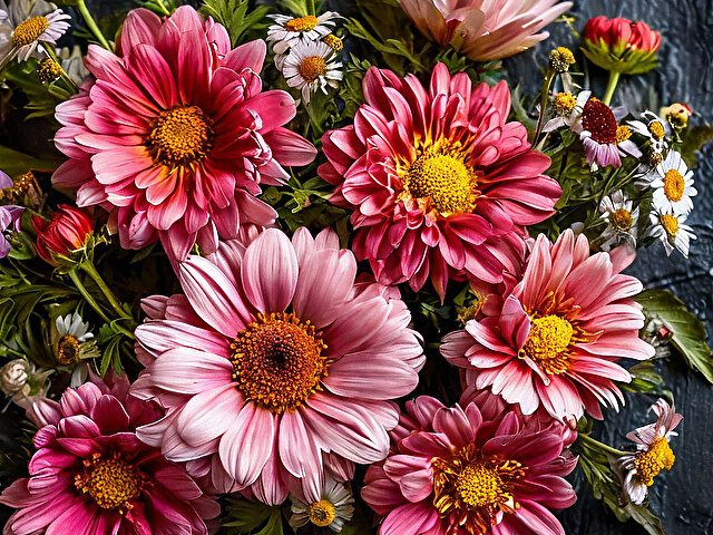 Поздравляем вас с Международным женским днем – 8 Марта!