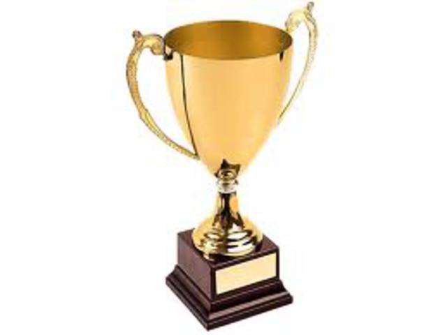 Результаты конкурса на лучший сайт законодательных (представительных) органов государственной власти субъектов Российской Федерации в сети Интернет в 2010 году.